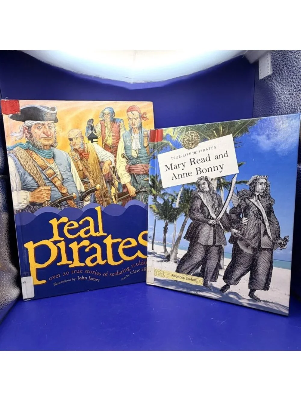 Real Pirates True Stories Mary Read Anne Bonny 2 Book Lot Homeschool History